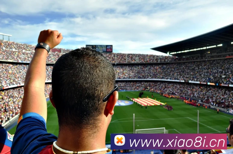 多媒体互动体验